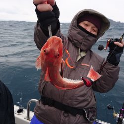 ARCADIAⅡ (アルカディアⅡ) 釣果