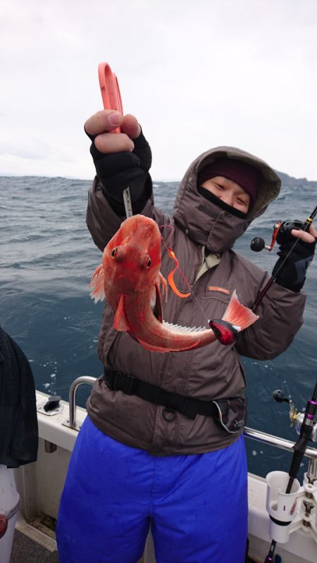 ARCADIAⅡ (アルカディアⅡ) 釣果