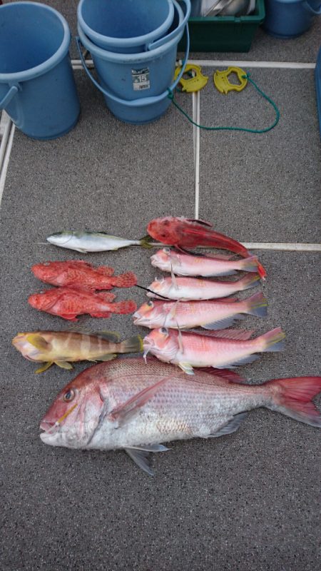 ARCADIAⅡ (アルカディアⅡ) 釣果