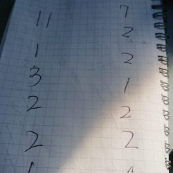 金沢八景鴨下丸 釣果