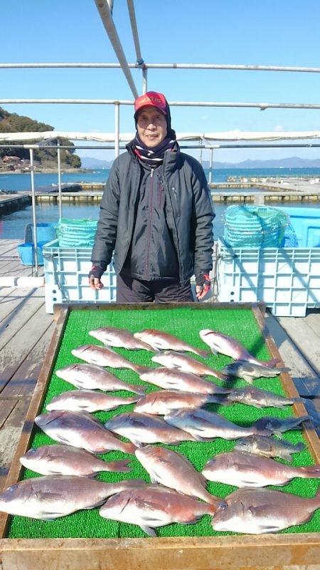 海の釣堀 海恵 釣果