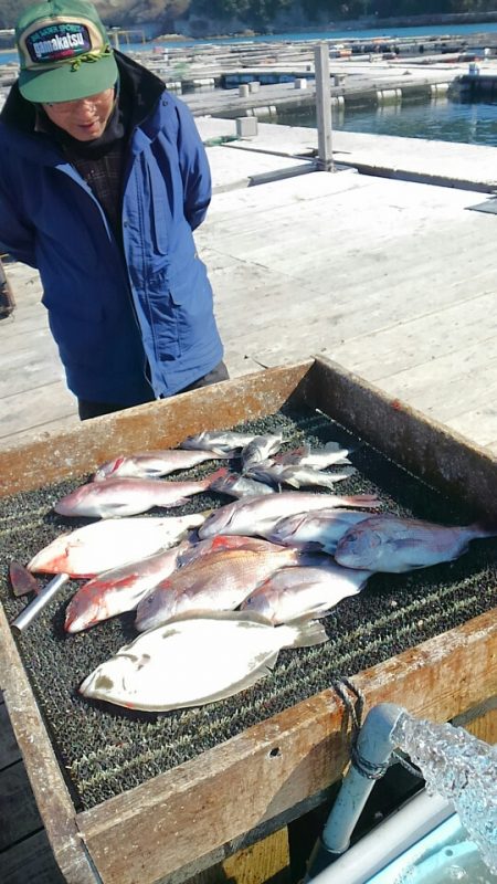 海の釣堀 海恵 釣果
