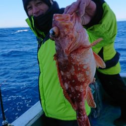 だて丸 釣果