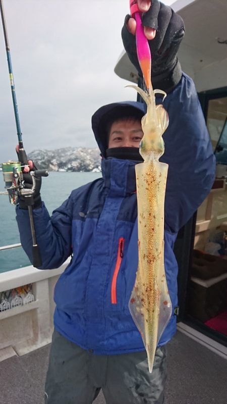 ARCADIAⅡ (アルカディアⅡ) 釣果