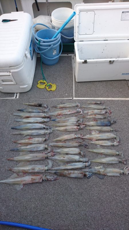 ARCADIAⅡ (アルカディアⅡ) 釣果