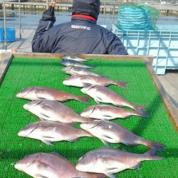 海の釣堀 海恵 釣果