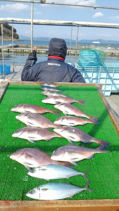 海の釣堀 海恵 釣果