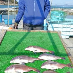 海の釣堀 海恵 釣果