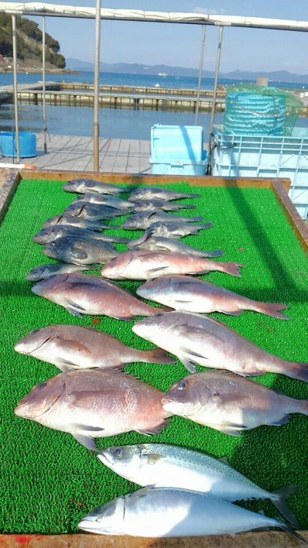 海の釣堀 海恵 釣果