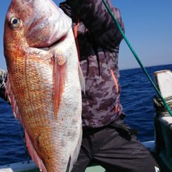 だて丸 釣果