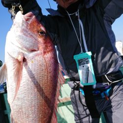 だて丸 釣果