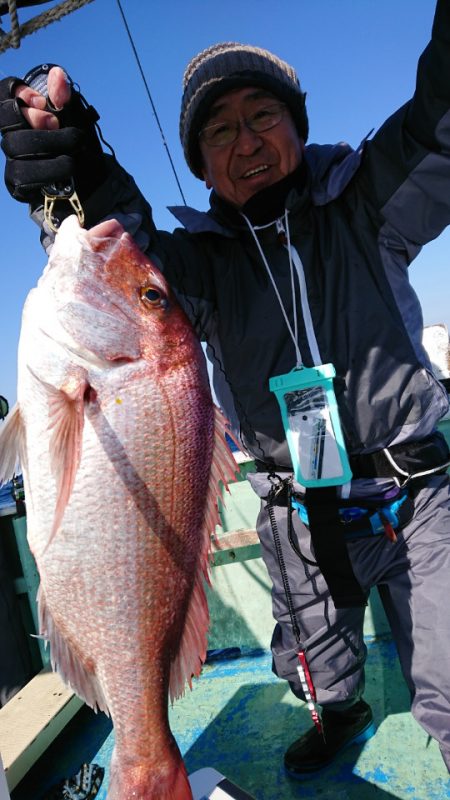 だて丸 釣果