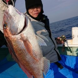 だて丸 釣果