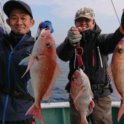だて丸 釣果