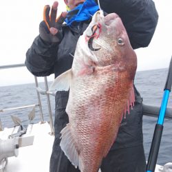 ARCADIAⅡ （アルカディアⅡ） 釣果