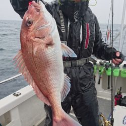 ARCADIAⅡ （アルカディアⅡ） 釣果