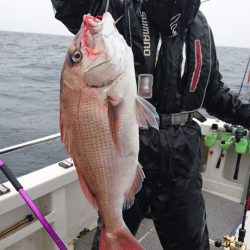 ARCADIAⅡ （アルカディアⅡ） 釣果