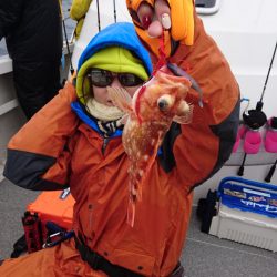 ARCADIAⅡ （アルカディアⅡ） 釣果