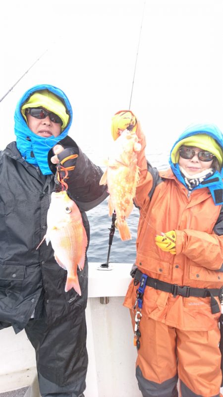 ARCADIAⅡ （アルカディアⅡ） 釣果