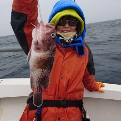 ARCADIAⅡ （アルカディアⅡ） 釣果