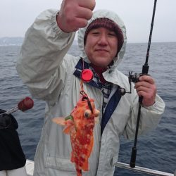 ARCADIAⅡ （アルカディアⅡ） 釣果