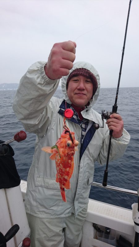 ARCADIAⅡ （アルカディアⅡ） 釣果