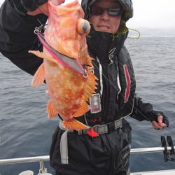 ARCADIAⅡ （アルカディアⅡ） 釣果