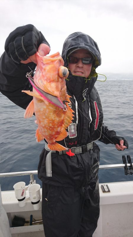 ARCADIAⅡ （アルカディアⅡ） 釣果