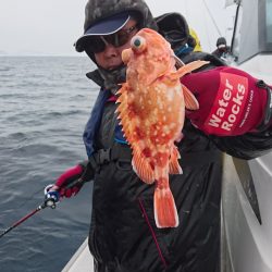 ARCADIAⅡ （アルカディアⅡ） 釣果