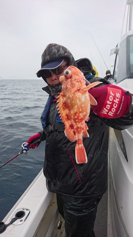 ARCADIAⅡ （アルカディアⅡ） 釣果