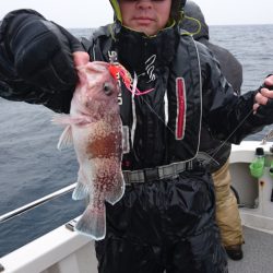 ARCADIAⅡ （アルカディアⅡ） 釣果