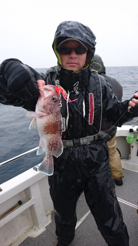 ARCADIAⅡ （アルカディアⅡ） 釣果