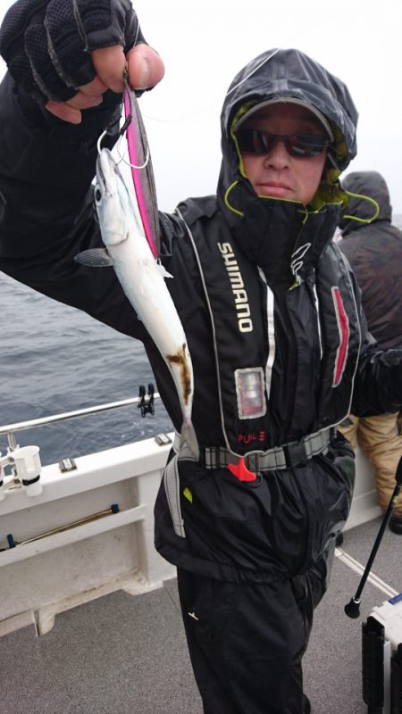 ARCADIAⅡ （アルカディアⅡ） 釣果