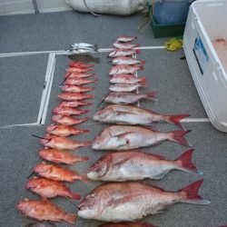 ARCADIAⅡ （アルカディアⅡ） 釣果