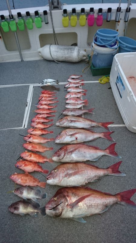 ARCADIAⅡ （アルカディアⅡ） 釣果