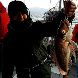 タイラバ遊漁船 ワンピース 釣果