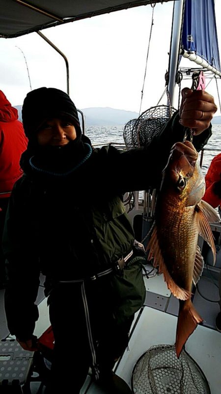 タイラバ遊漁船 ワンピース 釣果