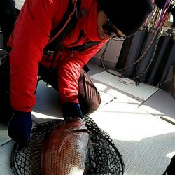 タイラバ遊漁船 ワンピース 釣果