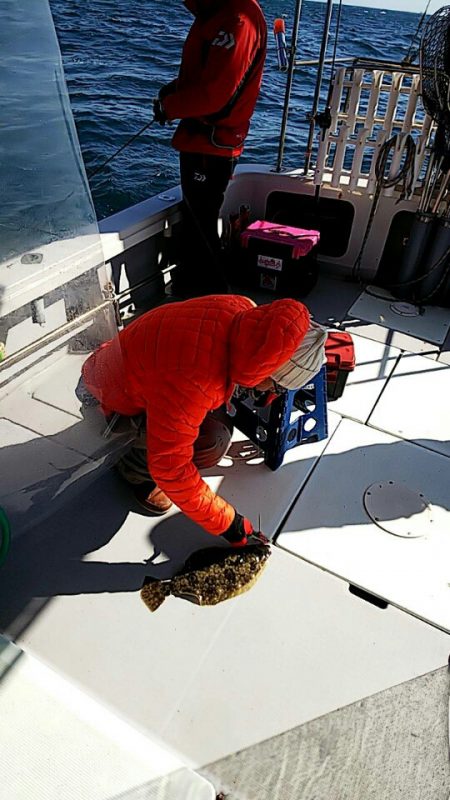 タイラバ遊漁船 ワンピース 釣果