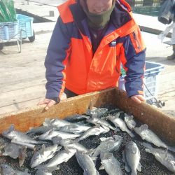 海の釣堀 海恵 釣果