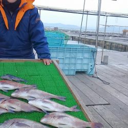 海の釣堀 海恵 釣果