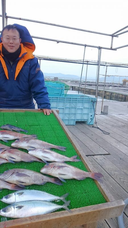 海の釣堀 海恵 釣果