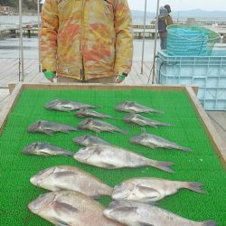 海の釣堀 海恵 釣果