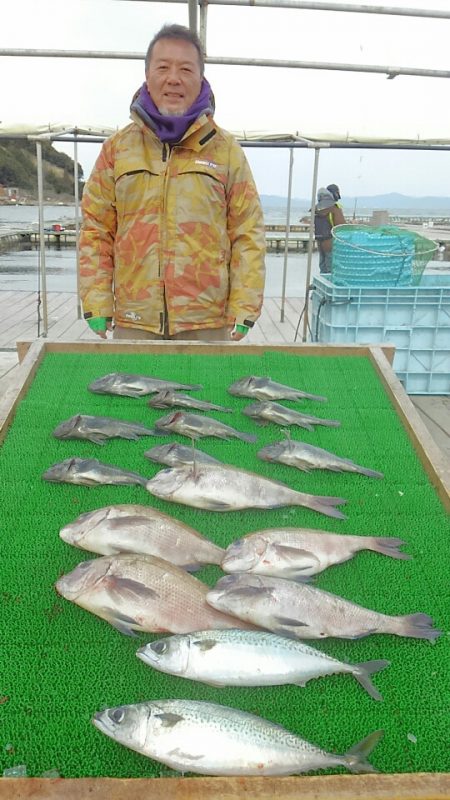 海の釣堀 海恵 釣果