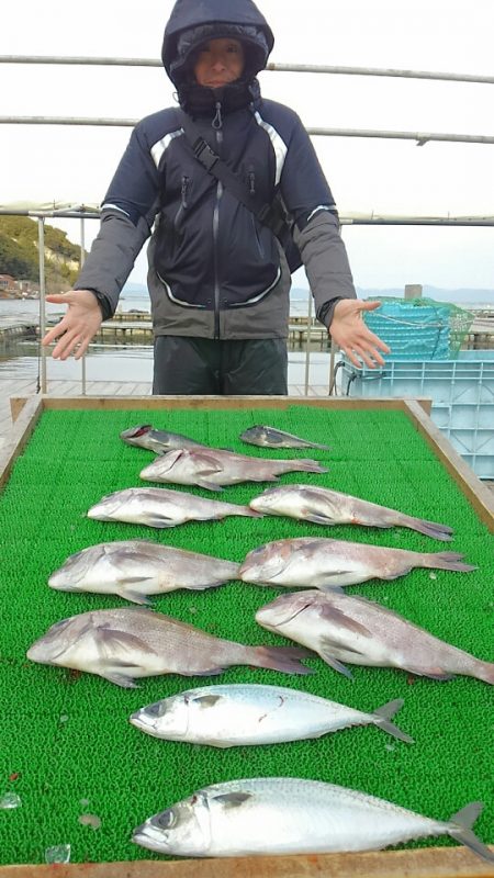 海の釣堀 海恵 釣果