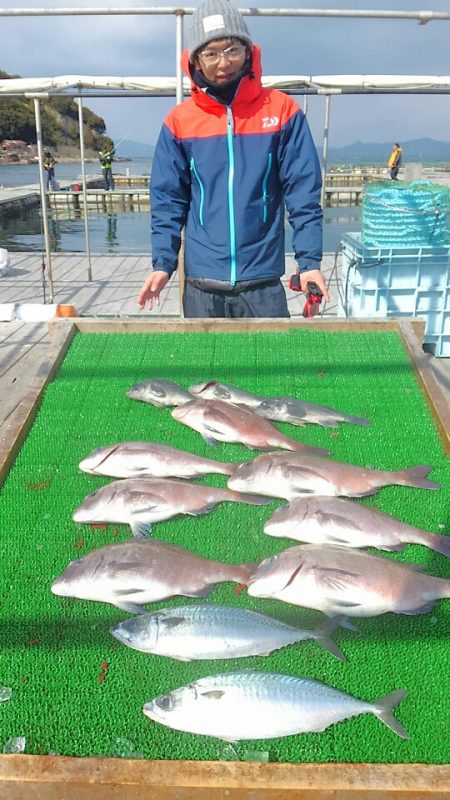 海の釣堀 海恵 釣果