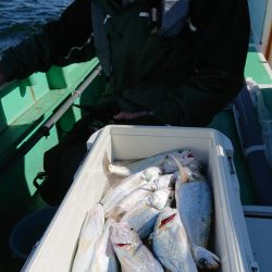 金沢八景鴨下丸 釣果