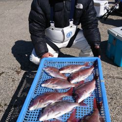 第三共栄丸 釣果