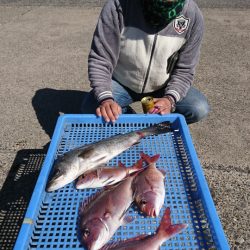 第三共栄丸 釣果