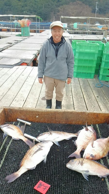 海の釣堀 海恵 釣果